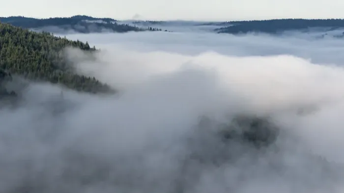 Framed Print : Landscape from Bald Hills Road with early morning fog filling valley, Redwood National Park, California, USA Framed Print : Landscape from Bald Hills Road with early morning fog filling valley, Redwood National Park, California, USA
