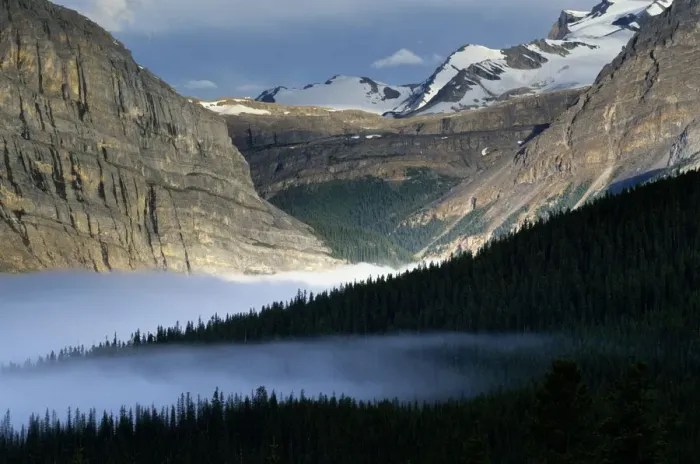 Framed Print : Landscape of Banff National Park, Canada