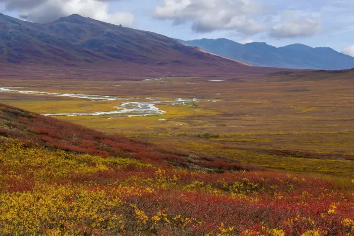 Framed Print : Landscape with Brooks Range, Alaska, USA Framed Print : Landscape with Brooks Range, Alaska, USA