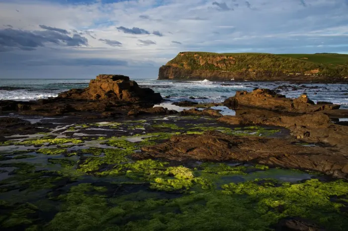 Framed Print : Landscape of Curio Bay Framed Print : Landscape of Curio Bay