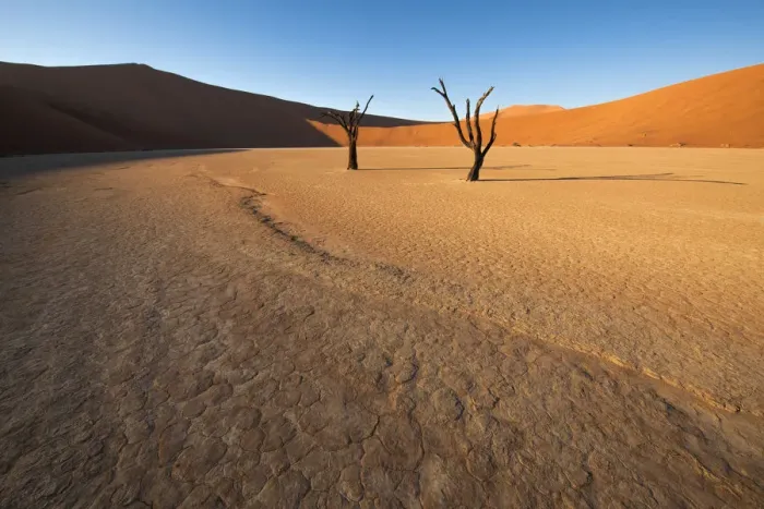 Framed Print : Landscape of Deadvlei at sunrise, Namib-Naukluft National Park, Namibia Framed Print : Landscape of Deadvlei at sunrise, Namib-Naukluft National Park, Namibia