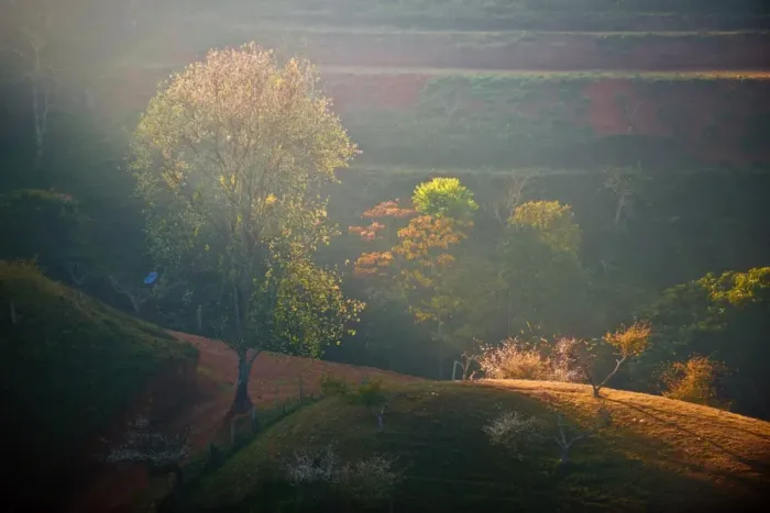 Framed Print : Landscape of Doi Ang Khang, Chiangmai, Thailand Framed Print : Landscape of Doi Ang Khang, Chiangmai, Thailand