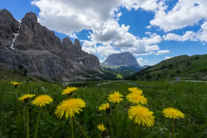 Framed Print : Landscape of Dolomites in summer season, Italy Framed Print : Landscape of Dolomites in summer season, Italy