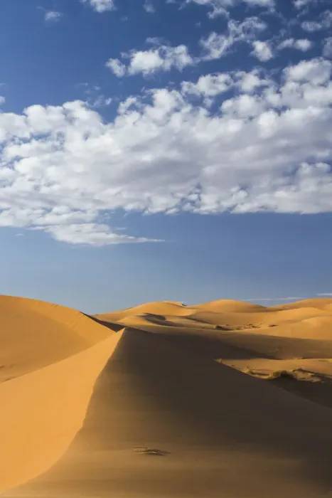 Framed Print : Landscape of dunes in Erg Chebbi, Sahara, Morocco
