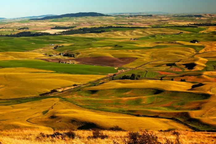 Framed Print : Landscape with fields, Palouse, Washington State, USA Framed Print : Landscape with fields, Palouse, Washington State, USA