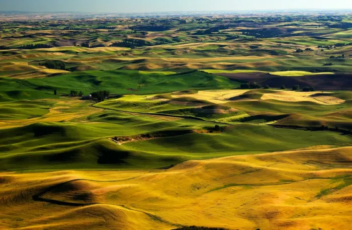 Framed Print : Landscape with fields, Palouse, Washington State, USA Framed Print : Landscape with fields, Palouse, Washington State, USA
