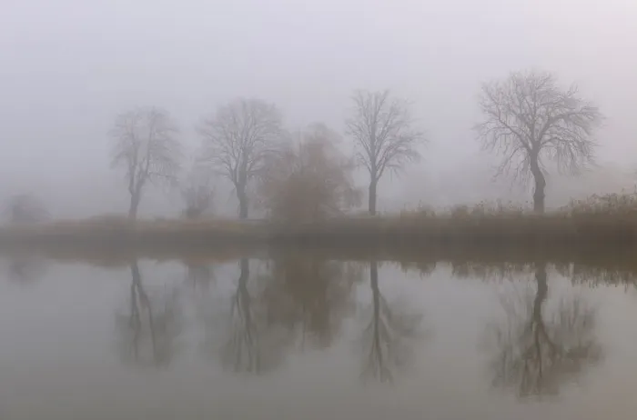 Framed Print : Landscape, fog, Schoenau fish ponds, Schoenau, Lower Austria, Austria, Europe Framed Print : Landscape, fog, Schoenau fish ponds, Schoenau, Lower Austria, Austria, Europe