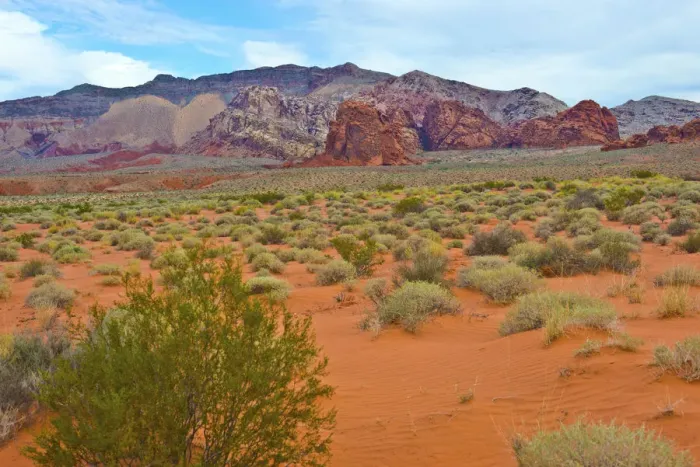 Framed Print : Landscape in Gold Butte National Monument, Mesquite, Nevada, USA