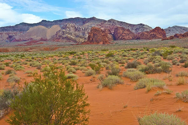 Landscape in Gold Butte National Monument, Mesquite, Nevada, USA