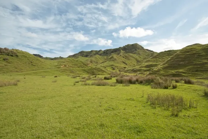 Framed Print : Landscape with green hills, Coromandel, Coromandel Peninsula, North Island, New Zealand Framed Print : Landscape with green hills, Coromandel, Coromandel Peninsula, North Island, New Zealand
