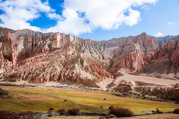Landscape with horses, Upper Mustang region, Nepal
