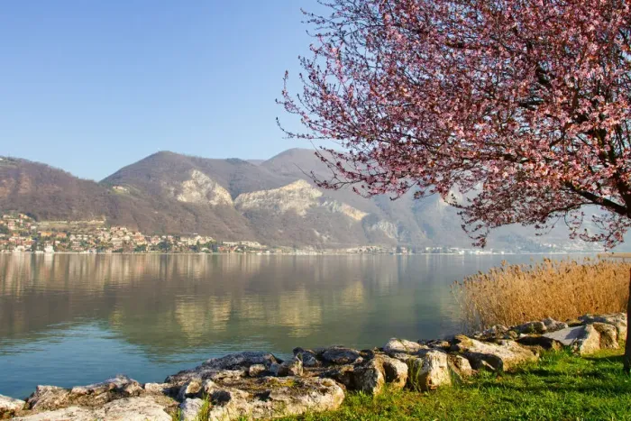 Framed Print : landscape of Iseo lake in spring Framed Print : landscape of Iseo lake in spring