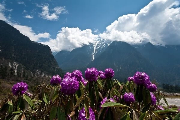 Landscape of Lachung area, North Sikkim, India