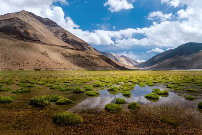 Framed Print : Landscape of Ladakh Framed Print : Landscape of Ladakh