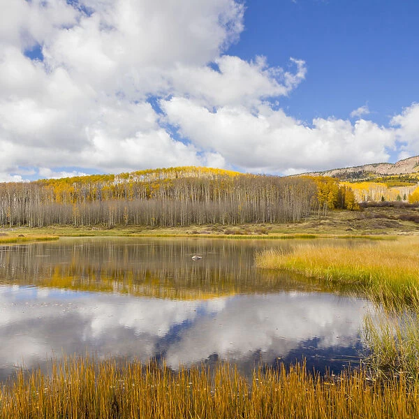 Landscape with lake in Dixie National Forest, Utah, USA