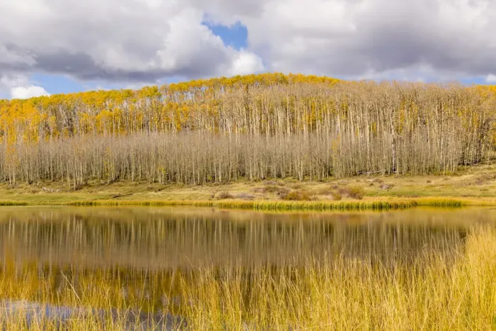 Framed Print : Landscape with lake in Dixie National Forest, Utah, USA Framed Print : Landscape with lake in Dixie National Forest, Utah, USA