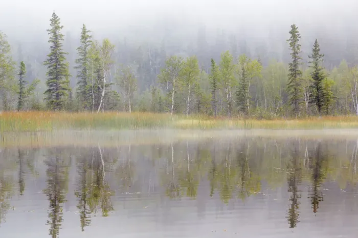 Framed Print : Landscape with lake and foggy forest by Little Lost Lake, Alaska, USA Framed Print : Landscape with lake and foggy forest by Little Lost Lake, Alaska, USA
