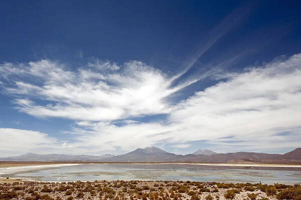 Landscape with lake and mountains, Coipasa, Bolivian Altiplano, Bolivia
