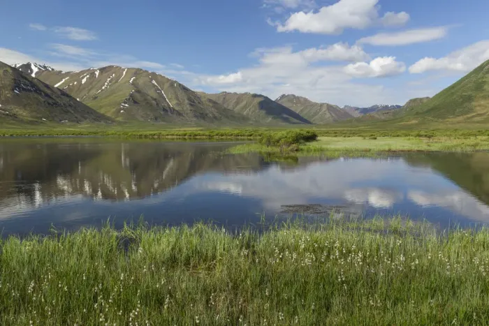 Framed Print : Landscape with lake in Tombstone Territorial Park, Yukon Territory, Canada Framed Print : Landscape with lake in Tombstone Territorial Park, Yukon Territory, Canada