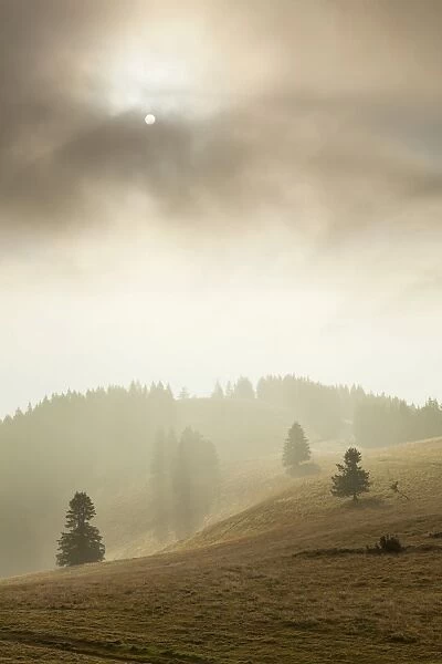 Landscape in the mist, Belchen, Black Forest, Baden-Wurttemberg, Germany
