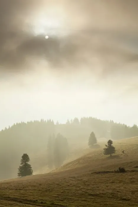 Framed Print : Landscape in the mist, Belchen, Black Forest, Baden-Wurttemberg, Germany Framed Print : Landscape in the mist, Belchen, Black Forest, Baden-Wurttemberg, Germany
