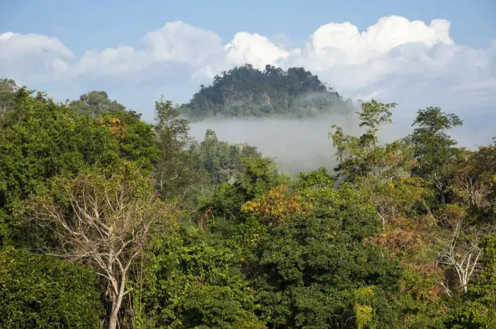 Framed Print : Landscape with mist, forest, jungle, northern Thailand, Thailand, Asia Framed Print : Landscape with mist, forest, jungle, northern Thailand, Thailand, Asia