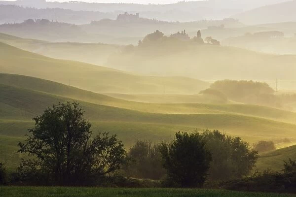 Landscape in the morning mist, Asciano, Tuscany, Italy, Europe