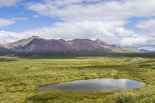 Landscape with mountains and pond, Alaska, USA