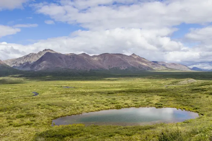 Framed Print : Landscape with mountains and pond, Alaska, USA Framed Print : Landscape with mountains and pond, Alaska, USA