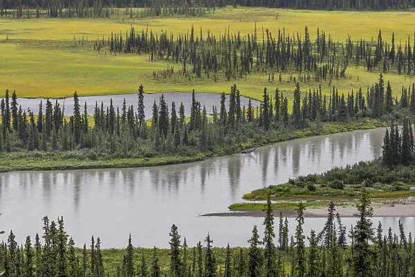 Landscape with Nenana River Valleyand and pond, Alaska, USA