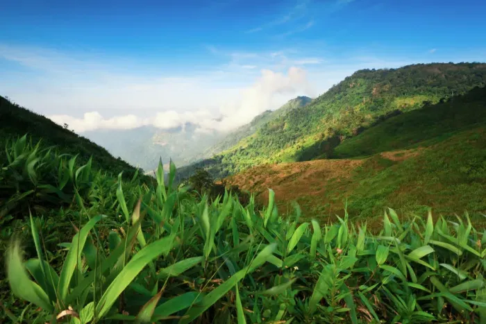 Framed Print : Landscape of Phu Tub Bek, Phetchabun Thailand Framed Print : Landscape of Phu Tub Bek, Phetchabun Thailand
