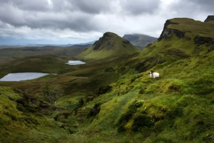 Framed Print : Landscape of Quiraings trekking route, Isle of Skye Framed Print : Landscape of Quiraings trekking route, Isle of Skye