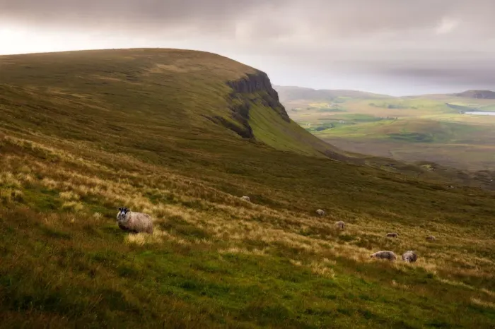 Framed Print : Landscape of Quiraings trekking route, Isle of Skye