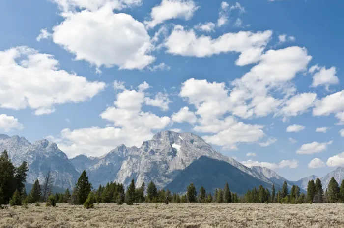 Framed Print : Landscape with Sagebrush -Artemisia tridentata-, forest and Mount Moran, Grand Teton National Park, Teton Range, Rocky Mountains, Wyoming, Western United States, United States of America, North America Framed Print : Landscape with Sagebrush -Artemisia tridentata-, forest and Mount Moran, Grand Teton National Park, Teton Range, Rocky Mountains, Wyoming, Western United States, United States of America, North America