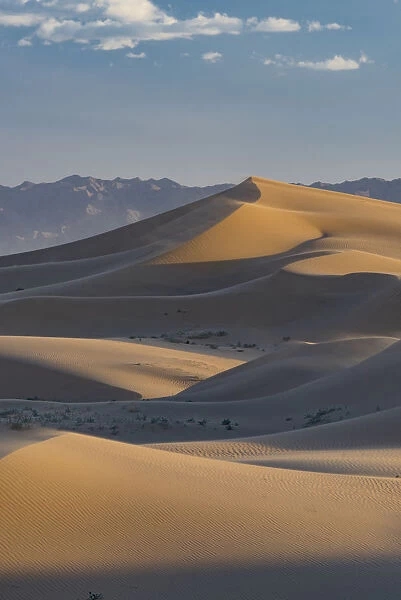 Landscape with sand dunes, Mojave Trails National Monument, California, USA
