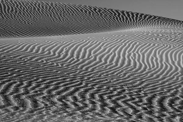 Landscape with sand dunes, Mojave Trails National Monument, California, USA