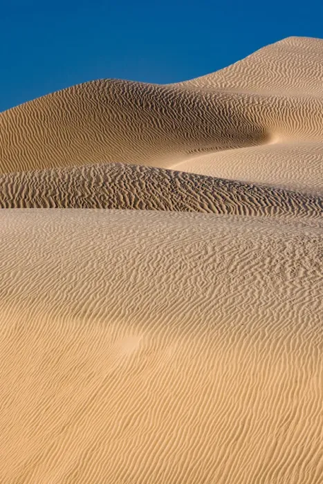 Framed Print : Landscape with sand dunes, Mojave Trails National Monument, California, USA Framed Print : Landscape with sand dunes, Mojave Trails National Monument, California, USA