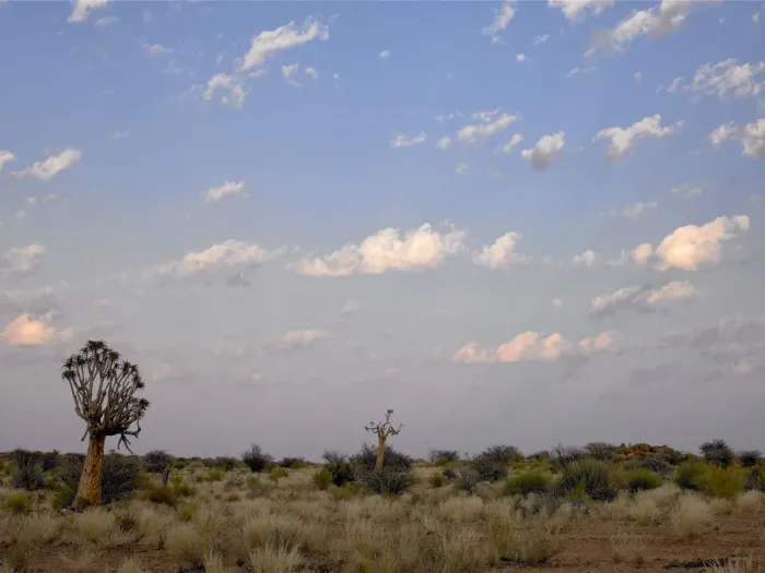 Framed Print : landscape of semi desert and tree. klein Karroo, cape town Framed Print : landscape of semi desert and tree. klein Karroo, cape town