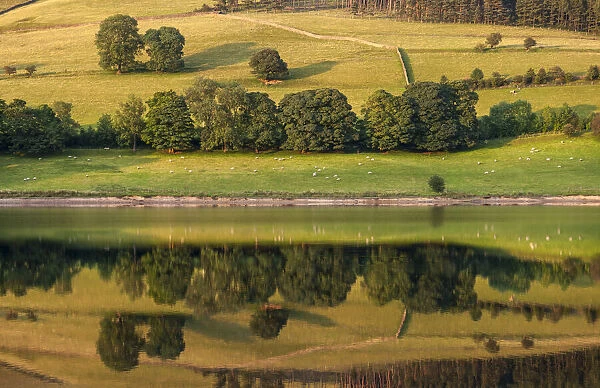 Landscape symmetry, Ladybower reservoir