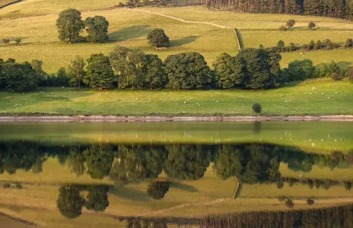 Framed Print : Landscape symmetry, Ladybower reservoir