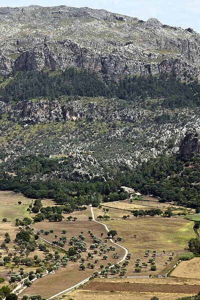 Landscape in the Tramuntana Mountains, Majorca, Balearic Islands, Spain