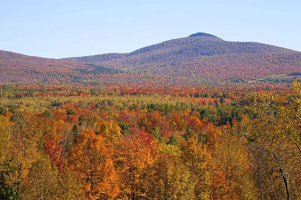 Landscape with trees in autumnal colours, Mansonville, Quebec, Canada