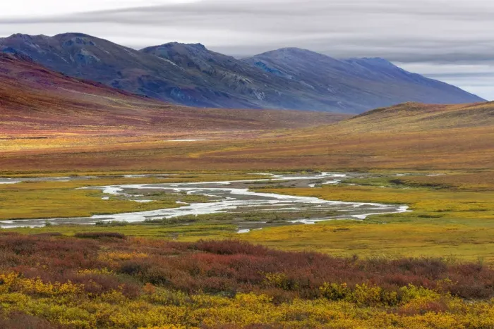 Framed Print : Landscape with tundra and mountain range in Brooks Range, Alaska, USA