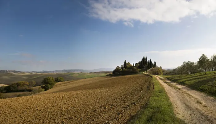 Framed Print : Landscape of Val d Orcia with dirt road, rolling hills and a house with cypress trees Framed Print : Landscape of Val d Orcia with dirt road, rolling hills and a house with cypress trees