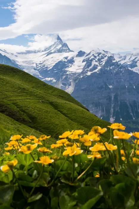 Framed Print : Landscape view of Grindelwald-First hiking route Framed Print : Landscape view of Grindelwald-First hiking route
