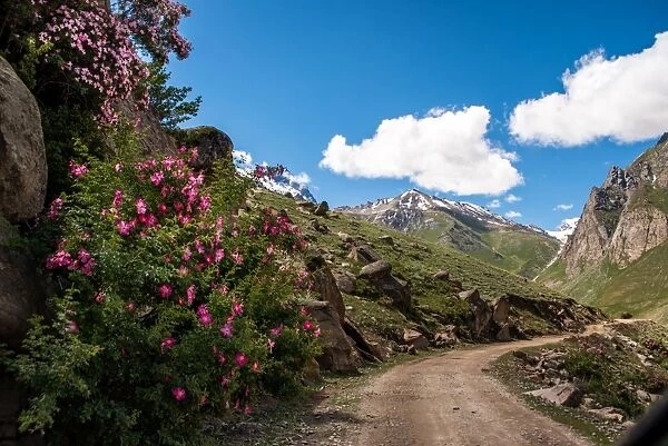 Landscape view of Kargil-Zanskar Route