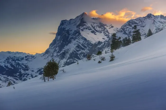 Framed Print : Landscape view from a train to Jungfraujoch Framed Print : Landscape view from a train to Jungfraujoch