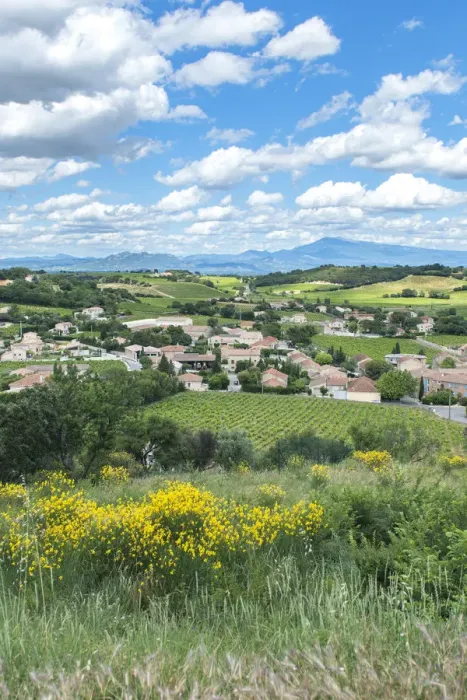 Framed Print : Landscape with village, Chateauneuf du Pape, France, Europe