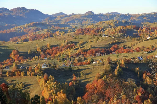 Landscape of village and mountain range, Piatra Craiului National Park, Magura, Carpathian Mountains, Brasov, Brasov County, Transylvania, Romania
