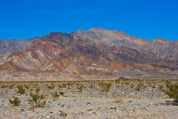 Landscape with West Side Road, Death Valley National Park, California, USA